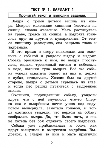 Долгова. Чтение 2 класс. Диагностика читательской компетентности